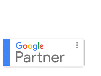 insignia google partner