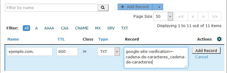 tutorial search console cpanel zone record